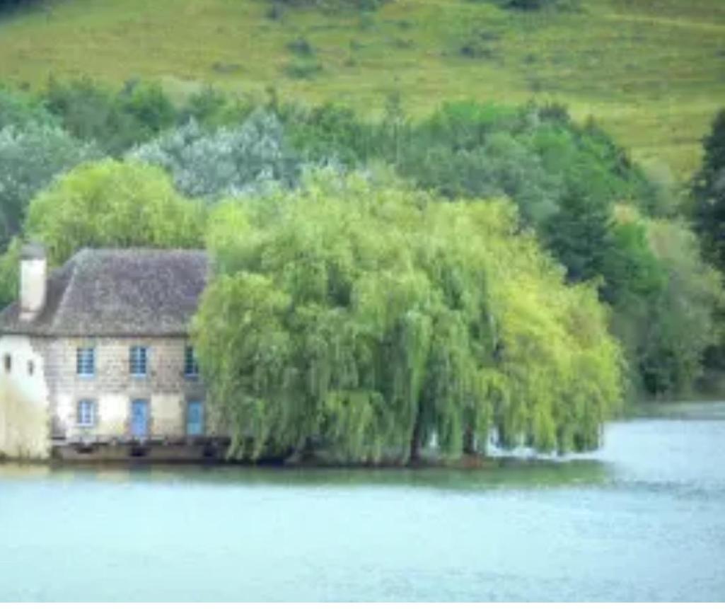 En Toute Quietude Lissac-sur-Couze Buitenkant foto